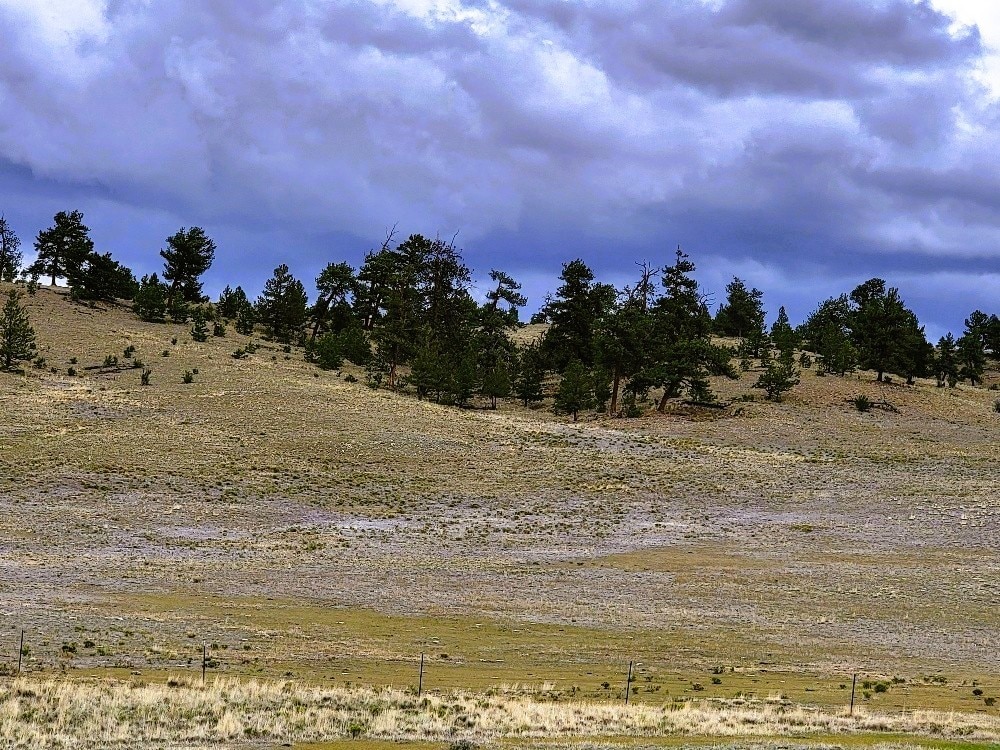 1101 Superstition Trl, Hartsel, CO 80449 - photo 1