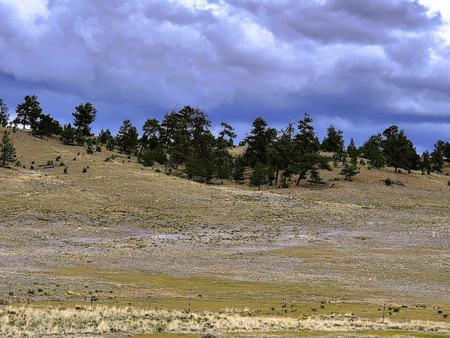 1101 Superstition Trl, Hartsel, CO 80449 - photo 1