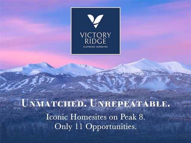 11 Valor Dr, Breckenridge, CO 80424