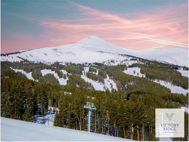 11 Valor Dr, Breckenridge, CO 80424