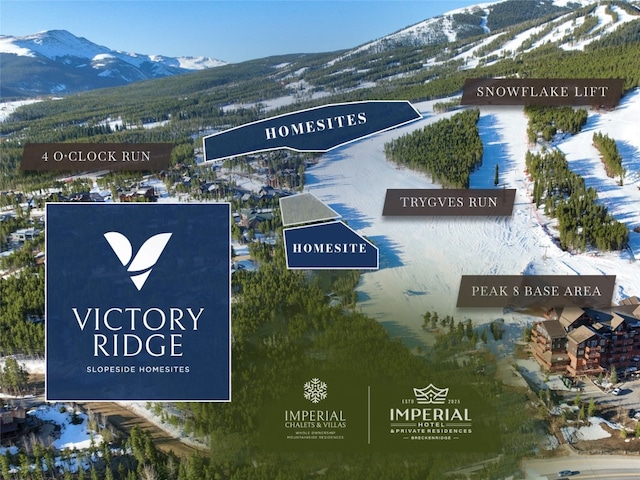 11 Valor Dr, Breckenridge, CO 80424