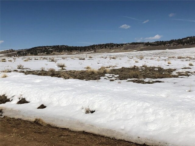 803 Link Rd, Como, CO 80432 - photo 5