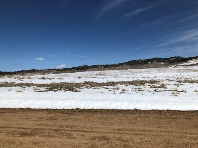 803 Link Rd, Como, CO 80432 - photo 12