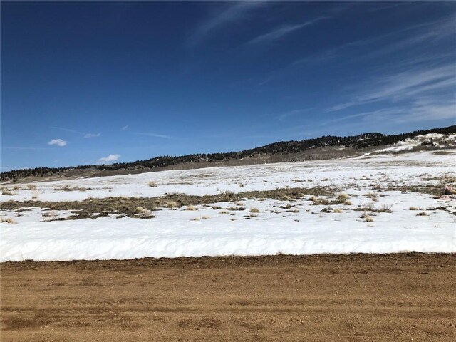 803 Link Rd, Como, CO 80432 - photo 9