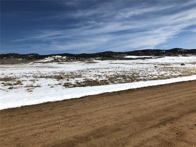 803 Link Rd, Como, CO 80432 - photo 8