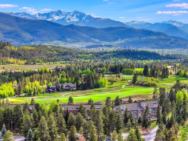 21610 US Highway 6 Unit 2171, Keystone, CO 80435 - photo 2