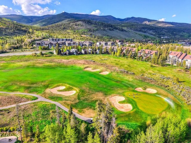 21610 US Highway 6 Unit 2171, Keystone, CO 80435 - photo 35