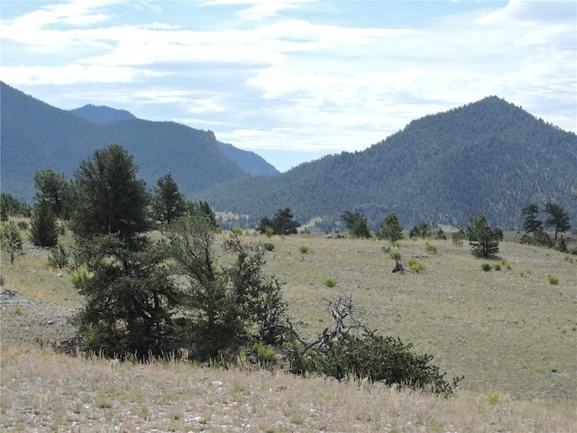 11499 Jackson Rd, Hartsel, CO 80449 - photo 1