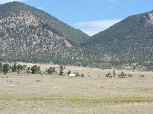 11499 Jackson Rd, Hartsel, CO 80449 - photo 3