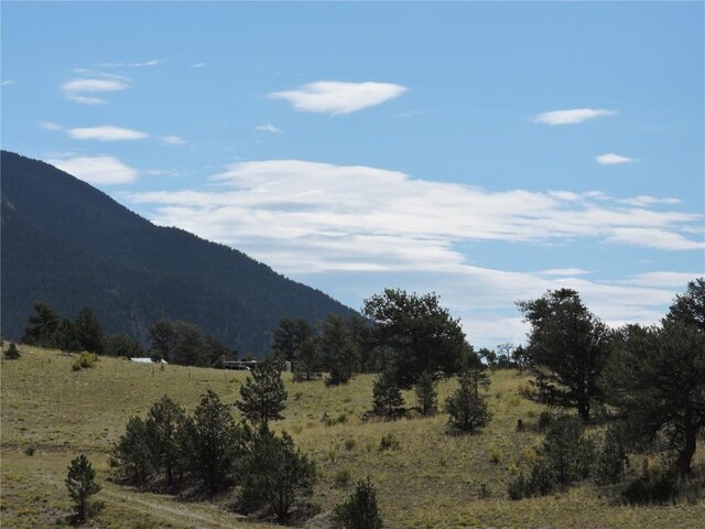 11499 Jackson Rd, Hartsel, CO 80449 - photo 2