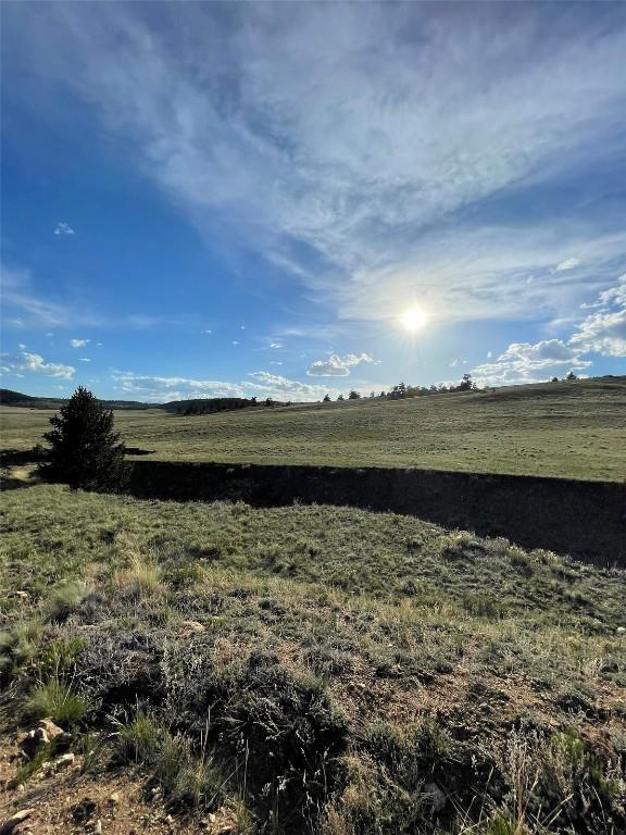691 Cathy Dr, Hartsel, CO 80449