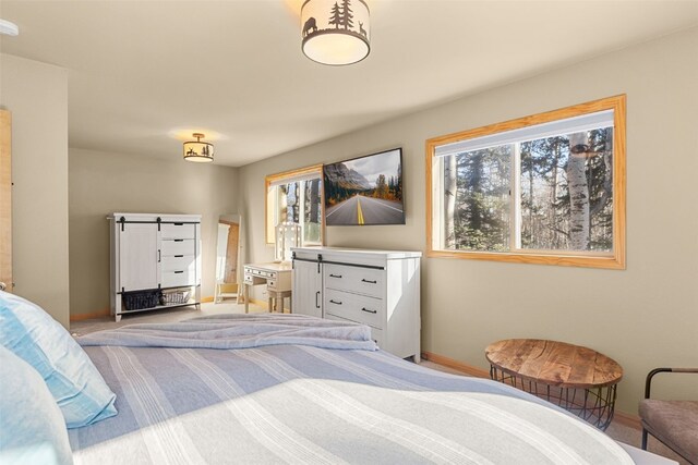 bedroom featuring baseboards, carpet, and multiple windows