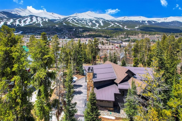 106 N Gold Flake Ter, Breckenridge, CO 80424 - photo 40