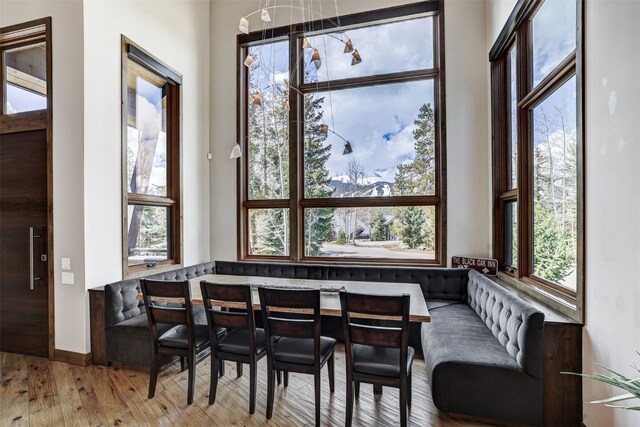 106 N Gold Flake Ter, Breckenridge, CO 80424 - photo 7
