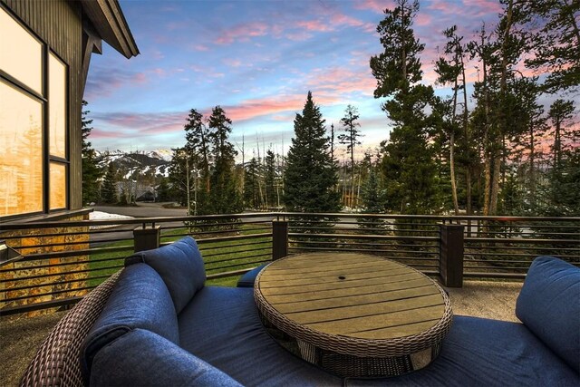 106 N Gold Flake Ter, Breckenridge, CO 80424 - photo 41