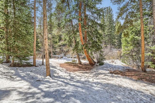 755 Columbine Rd Unit 303, Breckenridge, CO 80424 - view of yard featuring a view of trees