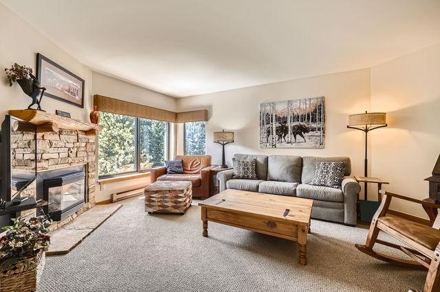 755 Columbine Rd Unit 303, Breckenridge, CO 80424 - living area with carpet floors, a fireplace, and baseboard heating