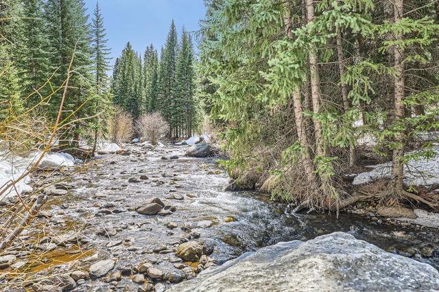 755 Columbine Rd Unit 303, Breckenridge, CO 80424 - view of wooded area