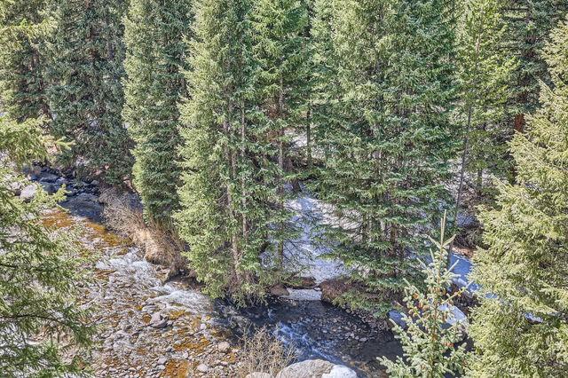 755 Columbine Rd Unit 303, Breckenridge, CO 80424 - view of nature