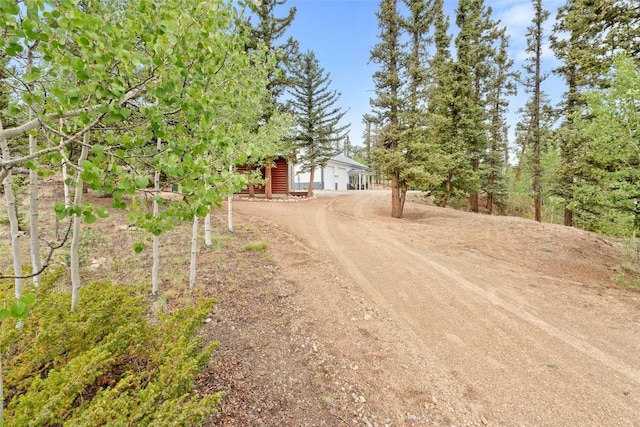 119 Wad Way, Como, CO 80432 - photo 35