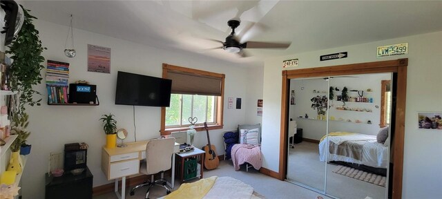 232 Harvest Dr, Hayden, CO 81639 - photo 19