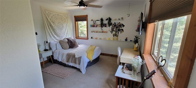 232 Harvest Dr, Hayden, CO 81639 - photo 18
