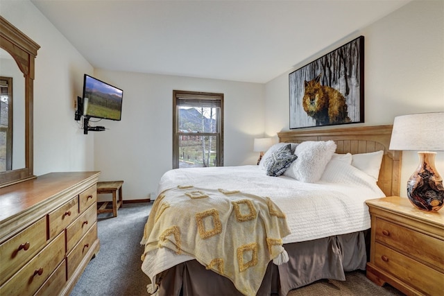 23034 US Highway 6 Unit 203, Dillon, CO 80435 - carpeted bedroom with baseboards
