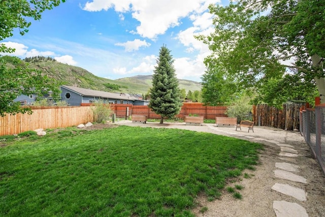 897 Deer Path Rd, Dillon, CO 80435 - view of yard featuring a mountain view and a patio area