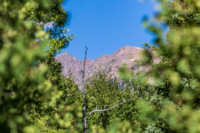 2200 Lodgepole Cir Unit 308, Silverthorne, CO 80498 - property view of mountains