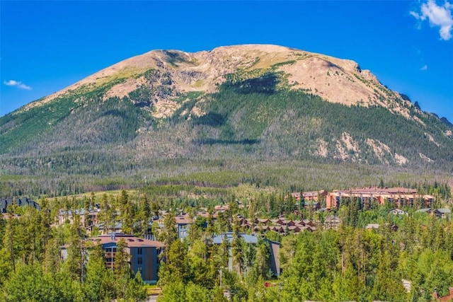 2200 Lodgepole Cir Unit 308, Silverthorne, CO 80498 - property view of mountains featuring a view of trees