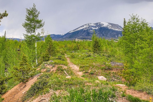 87 Salt Lick Pl Unit 2B, Silverthorne, CO 80498 - photo 29