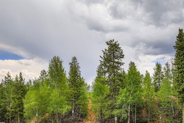 87 Salt Lick Pl Unit 2B, Silverthorne, CO 80498 - photo 24