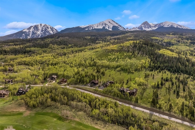2655 Hunters Knob Rd, Silverthorne, CO 80498 - view of mountain backdrop featuring a forest