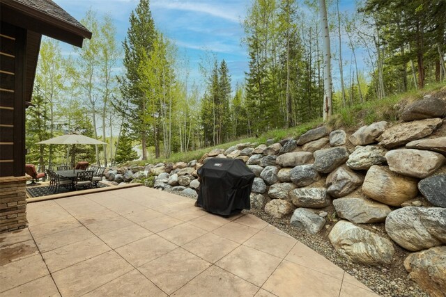 2655 Hunters Knob Rd, Silverthorne, CO 80498 - photo 47