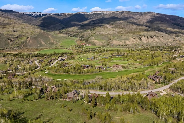 2655 Hunters Knob Rd, Silverthorne, CO 80498 - mountain view