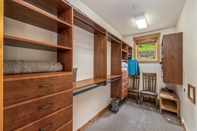 2655 Hunters Knob Rd, Silverthorne, CO 80498 - walk in closet featuring carpet