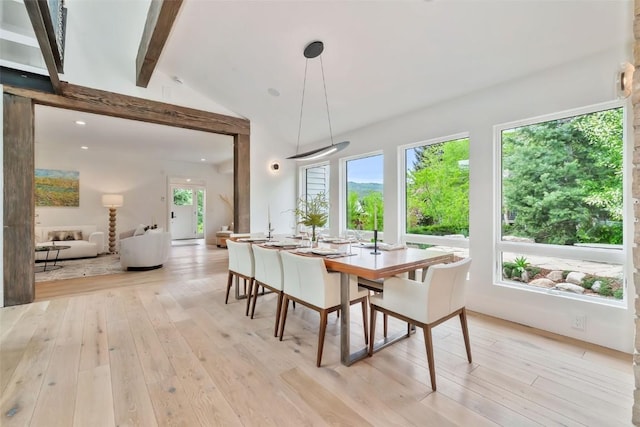 24 Maple St, Steamboat Springs, CO 80487 - dining space with light wood-style flooring