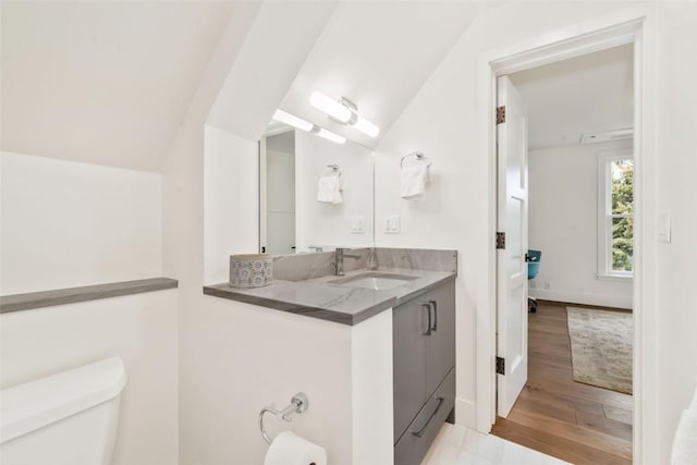 24 Maple St, Steamboat Springs, CO 80487 - bathroom featuring toilet, vanity, wood finished floors, and lofted ceiling