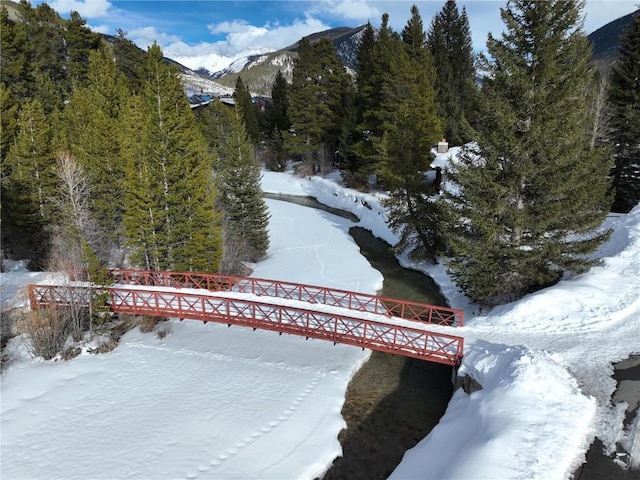 1205 W Keystone Rd Unit 2777, Keystone, CO 80435 - surrounding community featuring a mountain view