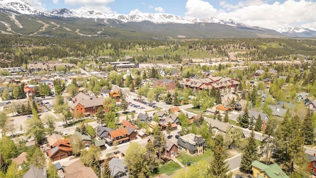 105 S High St Unit A, Breckenridge, CO 80424 - photo 31
