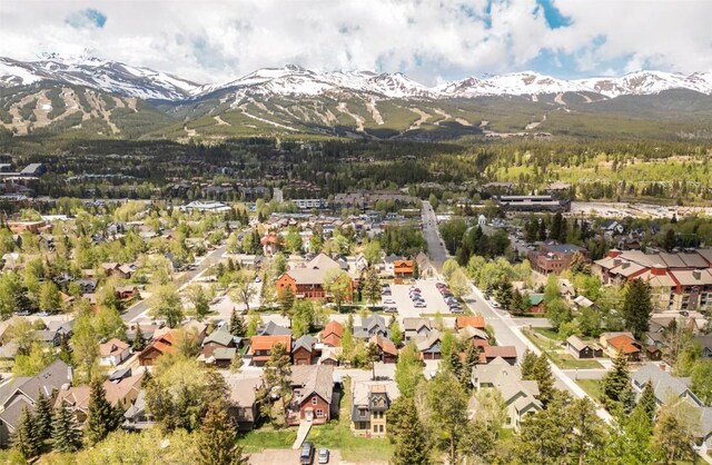 105 S High St Unit A, Breckenridge, CO 80424 - photo 29