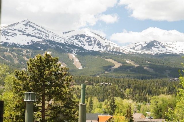 105 S High St Unit A, Breckenridge, CO 80424 - photo 28
