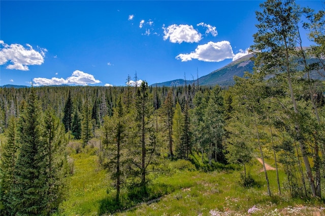 view of mountain feature featuring a view of trees