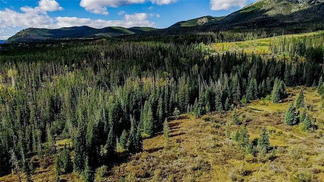 view of mountain feature featuring a view of trees