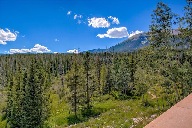 view of mountain feature with a wooded view