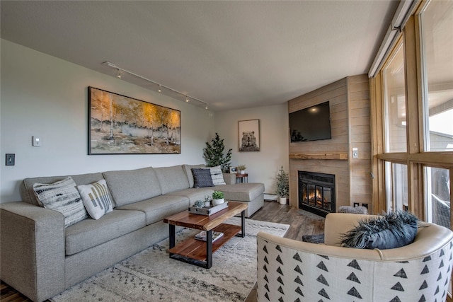 living area with rail lighting, wood finished floors, a baseboard radiator, and a fireplace