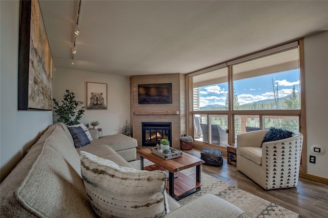 living room featuring a fireplace, wood finished floors, and rail lighting
