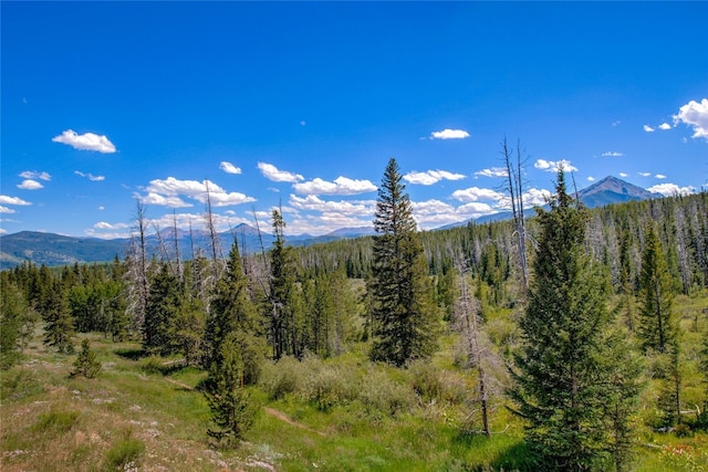 property view of mountains featuring a wooded view