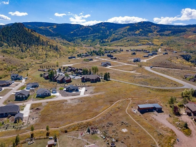 30610 Reinsman Ct, Oak Creek, CO 80467 - photo 26