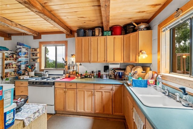 389 Routt Forest Loop, Craig, CO 81625 - kitchen featuring white gas range oven, a wooden ceiling with exposed beams, and light countertops